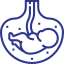 Gynaecology and Obstetrics