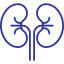 Nephrology