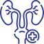 Urology Department